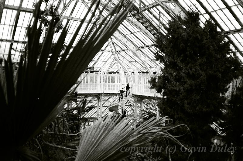 Palm House, Kew Gardens, London 12330013.JPG